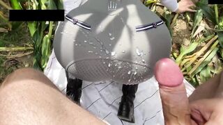 equestrienne gets banged! in the corn field