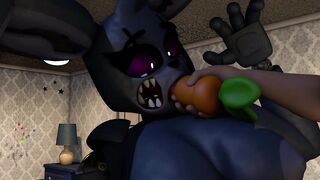 Nightmare Bonnie Night Party