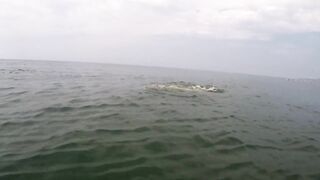 Incredible Sexy Fiance Swimming Naked on Ada Bojana FKK Resort