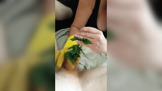 FETISH CBT Urethral Sounding Medical Play Penis Torment - Nettles