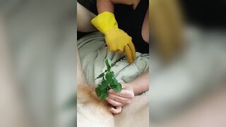 FETISH CBT Urethral Sounding Medical Play Penis Torment - Nettles
