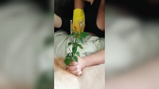 FETISH CBT Urethral Sounding Medical Play Penis Torment - Nettles