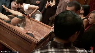 Bimbo into wooden glass box outdoor pounded