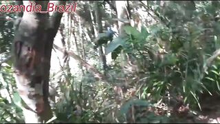 Hj foi gravação na piscina natural Aqui no Guarujá com