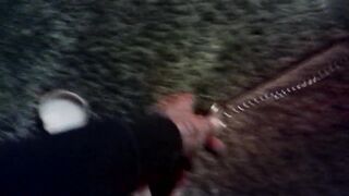 BBW Fucktoy Petplay