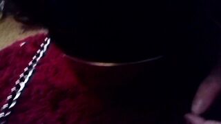 point of view Petplay