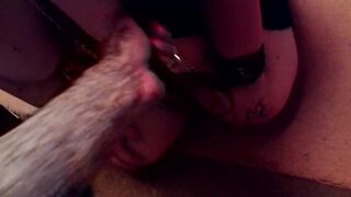 point of view Petplay