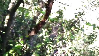 ORAL SEX MASTER SUCKING OFF SHAUNDAM HUGE EBONY DICK INSIDE THE BUSHES