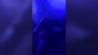 Welcome to Memphis Night Club