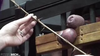CBT Hodenfolter mit Hodenpranger im Käfig gefesselt ausgepeitscht gequält inside