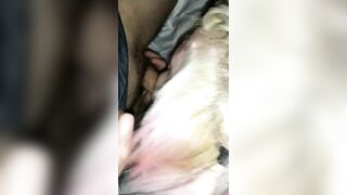 Bimbo Ex-lover Blowing my Penis