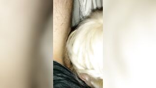 Bimbo Ex-lover Blowing my Penis