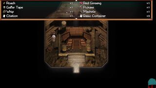 TON #114 • TREASURE OF NADIA • PC Gameplay [HD]