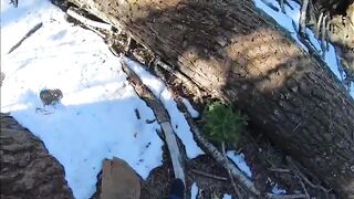 4DV3N7UR35 0F RX8 oriental BWC Cummed IR Snow WMAF