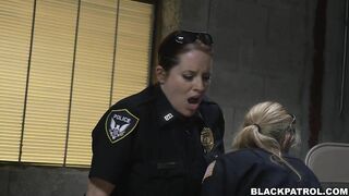 Domestic disturbance call