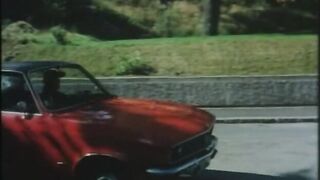 Den Svenska Synden 1969 - 2000