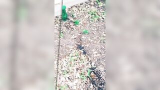 Demons Pissing into three Cups