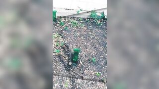 Demons Pissing into three Cups