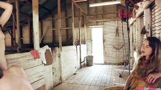 Wool shed banged