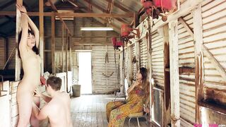 Wool shed banged
