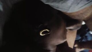 African Fellatio Specialist at Work