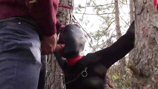 Bound to a Tree on a Hottie Outfit, Masked and Outdoors Deeply