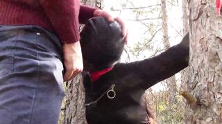 Bound to a Tree on a Hottie Outfit, Masked and Outdoors Deeply