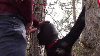 Bound to a Tree on a Hottie Outfit, Masked and Outdoors Deeply