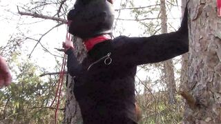 Bound to a Tree on a Hottie Outfit, Masked and Outdoors Deeply