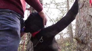 Bound to a Tree on a Hottie Outfit, Masked and Outdoors Deeply
