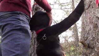 Bound to a Tree on a Hottie Outfit, Masked and Outdoors Deeply