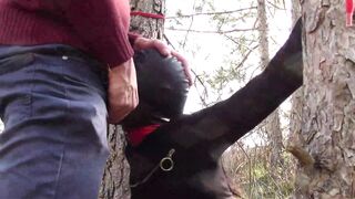 Bound to a Tree on a Hottie Outfit, Masked and Outdoors Deeply