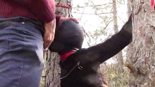 Bound to a Tree on a Hottie Outfit, Masked and Outdoors Deeply