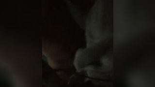 TURN AROUND & TAKE THIS PENIS!!!