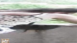 Russian roller skater