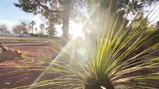 Sex inside the van at a outdoors park