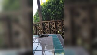 Did we just got Caught? do you think the Man Mowing saw