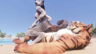 Wild Life / Furry Wolf women with Furry Tiger