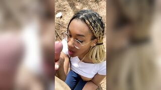 Quick Cream Pie inside the Pine Forest
