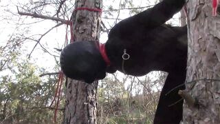 Bound up to a Tree Outside on Babe Clothes, Wearing Stockings and