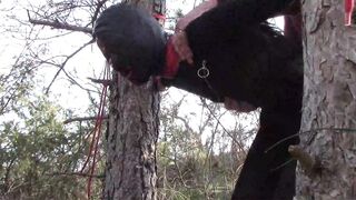Bound up to a Tree Outside on Babe Clothes, Wearing Stockings and