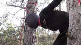 Bound up to a Tree Outside on Babe Clothes, Wearing Stockings and