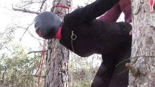 Bound up to a Tree Outside on Babe Clothes, Wearing Stockings and