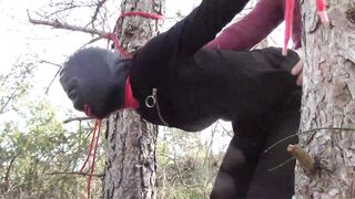 Bound up to a Tree Outside on Babe Clothes, Wearing Stockings and