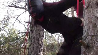 Bound up to a Tree Outside on Babe Clothes, Wearing Stockings and