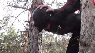 Bound up to a Tree Outside on Babe Clothes, Wearing Stockings and