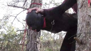 Bound up to a Tree Outside on Babe Clothes, Wearing Stockings and