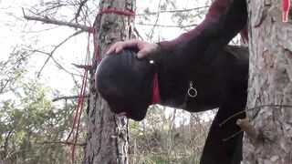 Bound up to a Tree Outside on Babe Clothes, Wearing Stockings and