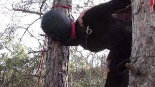 Bound up to a Tree Outside on Babe Clothes, Wearing Stockings and