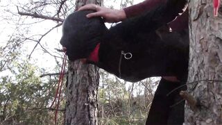 Bound up to a Tree Outside on Babe Clothes, Wearing Stockings and